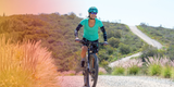 Shebeest Summer Sale: 40% Off