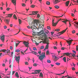Smitten Kitten Bellissima Plus Jersey